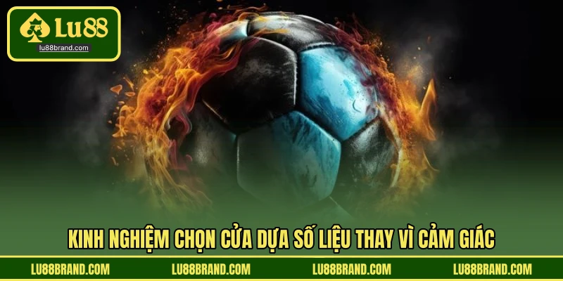 Kinh nghiệm chọn cửa dựa số liệu thay vì cảm giác